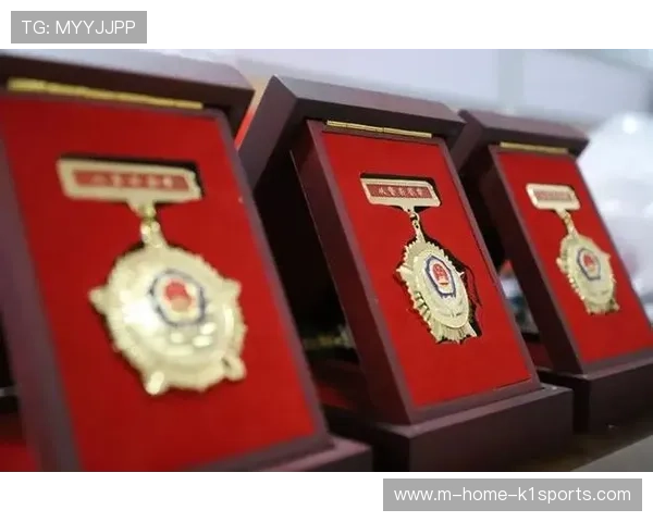 多元化荣誉勋章在当前周期内实现分级授予 提升了长效参与者的归属感